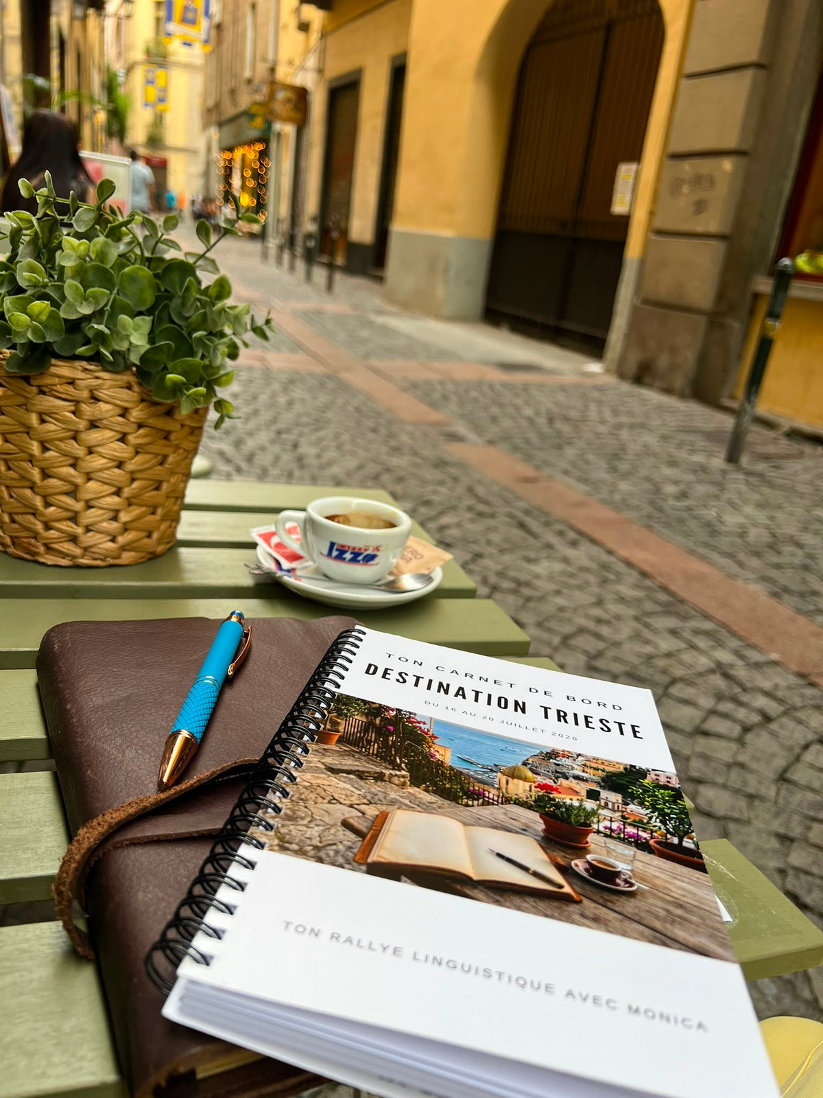 Carnets de bord & d'Immersion